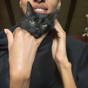 Meet your Posher, Angelica